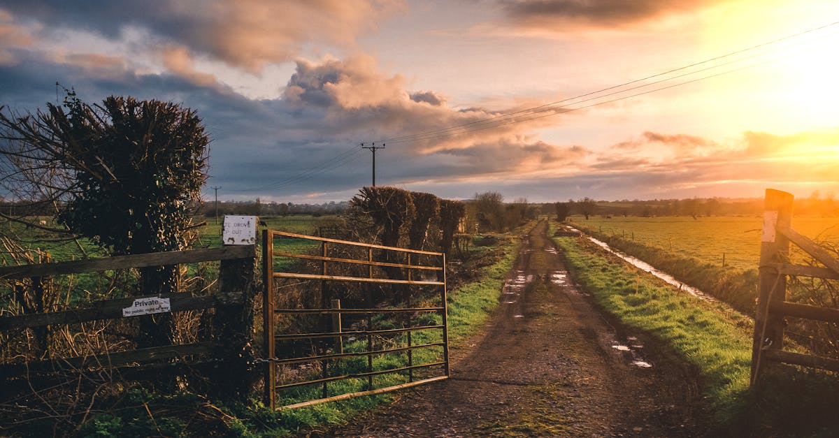 How much does it cost to build a wooden gate?