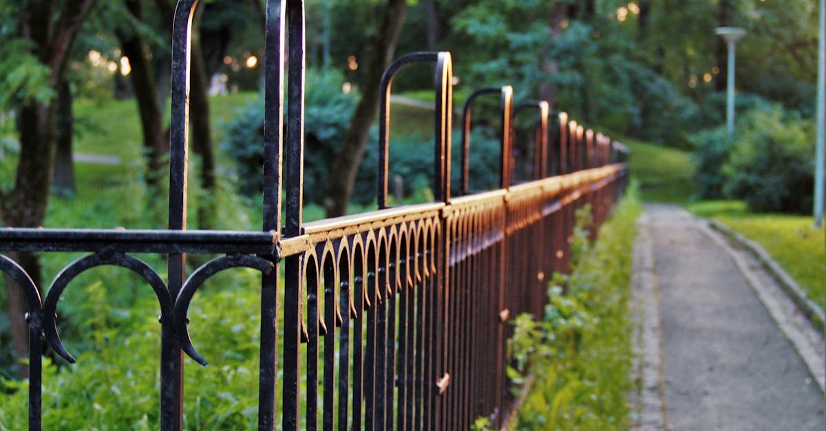 How to clean green off concrete fence posts?